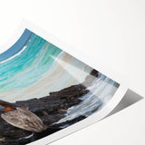 Extra large wall art featuring line art flowers in black and white, on rolled canvas, ideal for large living room wall decor.