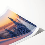 Extra large rolled print featuring line art flowers in black and white, ideal for large living room wall decor.