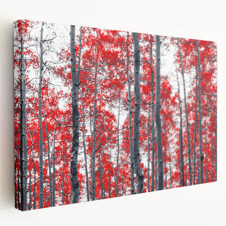 Denver cityscape on large stretched canvas with a mix of muted earth tones, ideal for kitchen wall art.