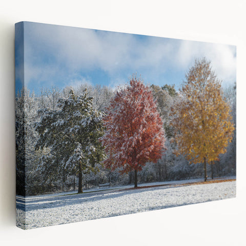 Large art print on stretched canvas depicting a serene Iowa landscape in soft green and blue tones.
