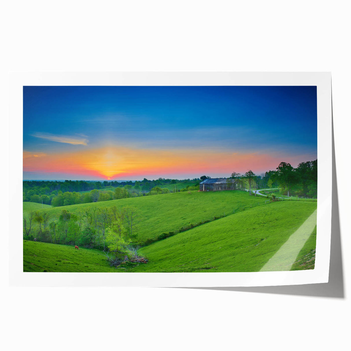 Rolled print of a Kentucky landscape featuring soft pastel colors and floral elements.