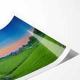 Extra large wall art featuring line art flowers in muted earth tones on a rolled canvas.