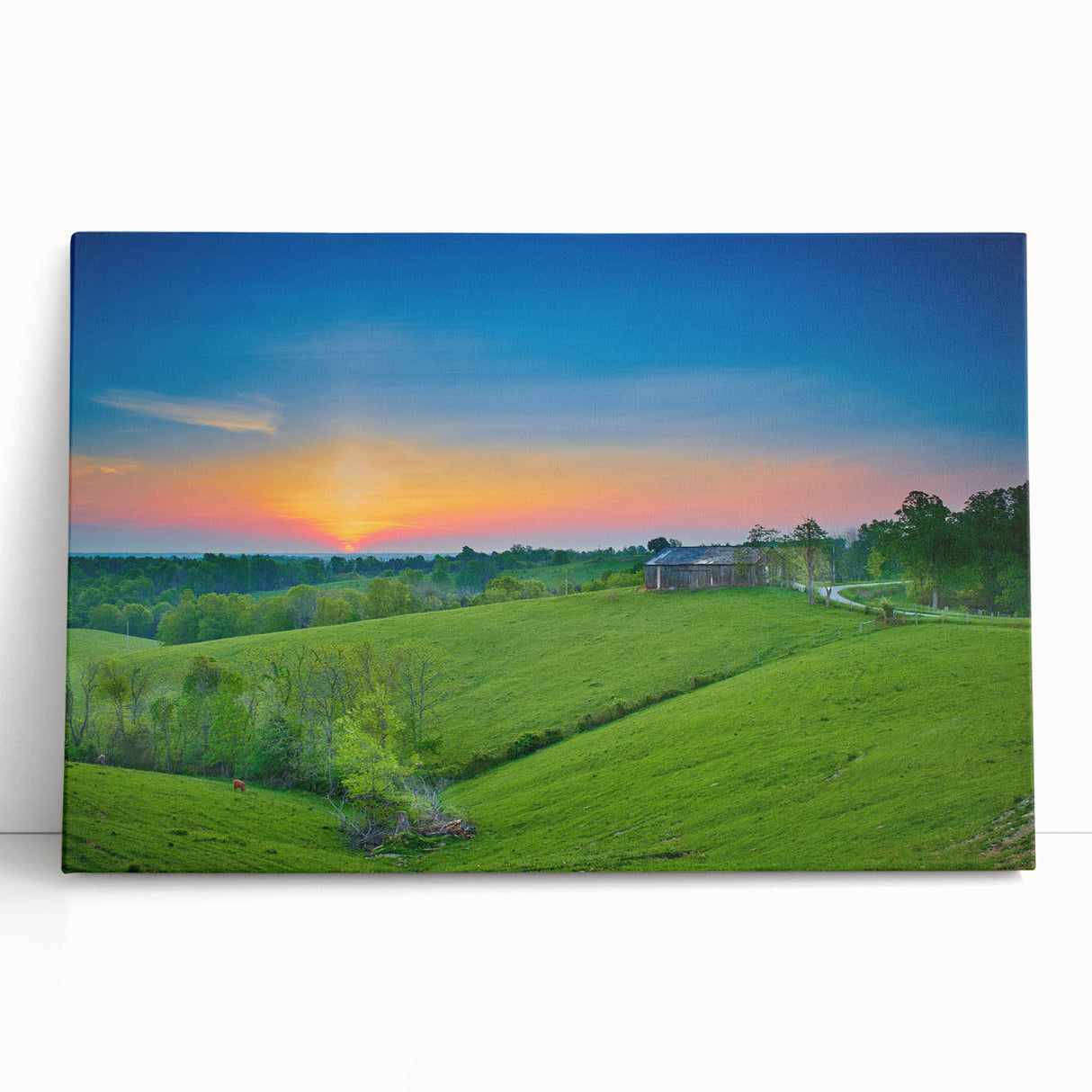 Black and white stretched canvas featuring a serene Kentucky landscape, ideal for kitchen wall art.