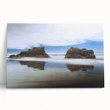 Black and white photograph of Olympic National Park on stretched canvas, ideal for kitchen wall art or bedroom decor.