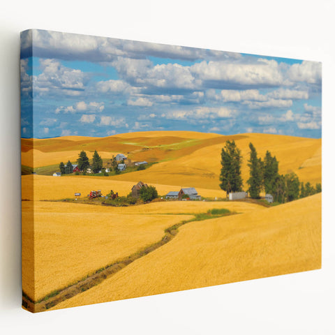 Large stretched canvas depicting the rolling hills of the Palouse in Washington, in soft green and brown tones.
