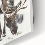 Large abstract wall art featuring winter-inspired shades on acrylic glass.