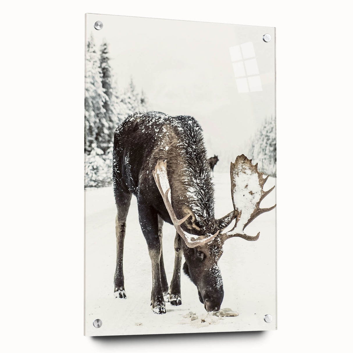 Large abstract wall art depicting winter season in muted blue and white tones on acrylic glass.