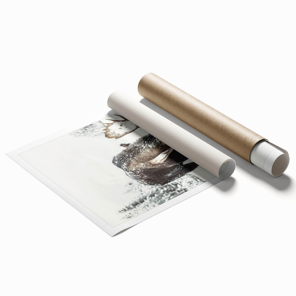 Extra large rolled print depicting winter-themed floral art in muted blue and white tones.