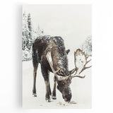 Winter tree silhouette in black and white on large stretched canvas, suitable for kitchen wall art.