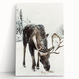 Winter-themed black and white stretched canvas featuring a bare tree, ideal for kitchen wall art or bedroom ambiance.