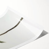 Extra large wall art featuring line art flowers in black on a white background, ideal for large living room decor.