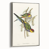 Romanticism Art - Red-Capped Parakeet - Classic Ornithological Print