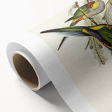 Romanticism Art - Red-Capped Parakeet - Classic Ornithological Print