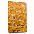 Large abstract wall art depicting fall trees in orange and red tones on acrylic glass.