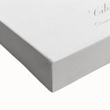 Romanticism Art - Cherry Botanical Illustration - Classic Fruit Print