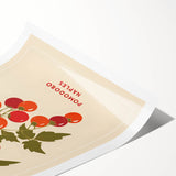 Extra large wall art featuring line art flowers in black on a white background, ideal for large living room decor.