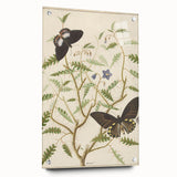 Realism Art Prints - Exotic Butterflies on Blooming Bush Botanical Art