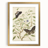 Realism Art Prints - Exotic Butterflies on Blooming Bush Botanical Art