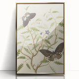 Realism Art Prints - Exotic Butterflies on Blooming Bush Botanical Art