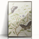 Realism Art Prints - Exotic Butterflies on Blooming Bush Botanical Art