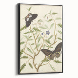 Realism Art Prints - Exotic Butterflies on Blooming Bush Botanical Art