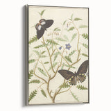 Realism Art Prints - Exotic Butterflies on Blooming Bush Botanical Art