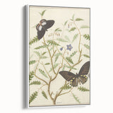 Realism Art Prints - Exotic Butterflies on Blooming Bush Botanical Art