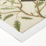 Realism Art Prints - Exotic Butterflies on Blooming Bush Botanical Art