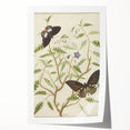Realism Art Prints - Exotic Butterflies on Blooming Bush Botanical Art