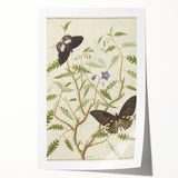 Realism Art Prints - Exotic Butterflies on Blooming Bush Botanical Art