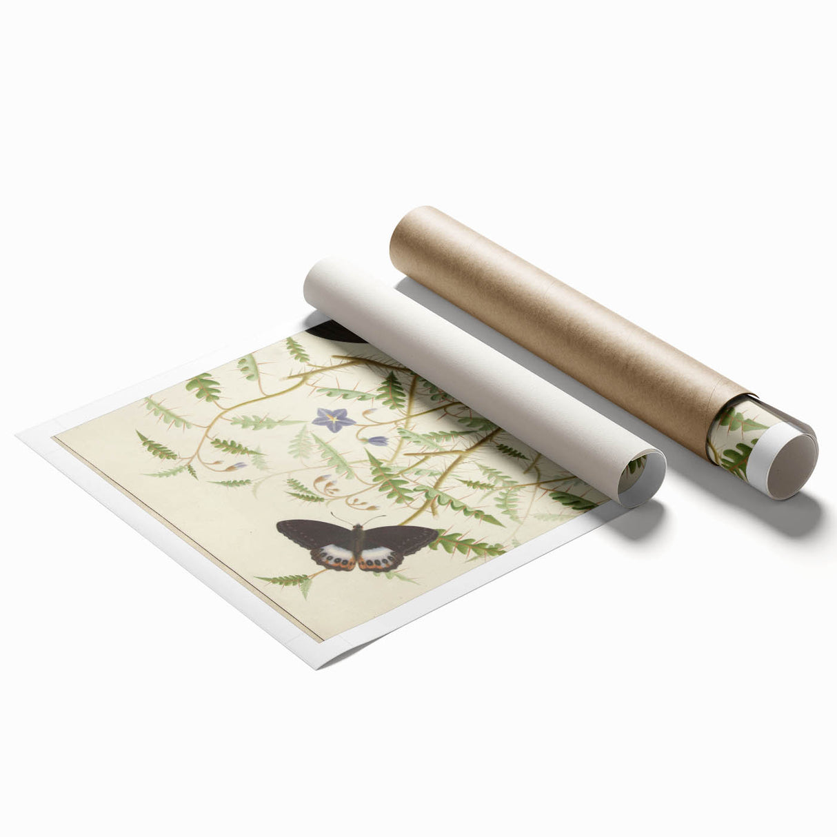 Realism Art Prints - Exotic Butterflies on Blooming Bush Botanical Art
