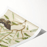 Realism Art Prints - Exotic Butterflies on Blooming Bush Botanical Art