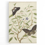 Realism Art Prints - Exotic Butterflies on Blooming Bush Botanical Art