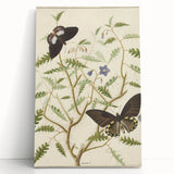 Realism Art Prints - Exotic Butterflies on Blooming Bush Botanical Art