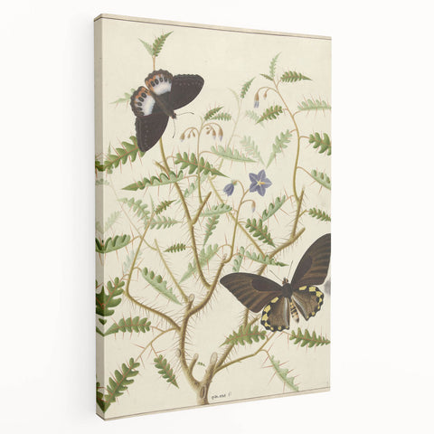 Realism Art Prints - Exotic Butterflies on Blooming Bush Botanical Art