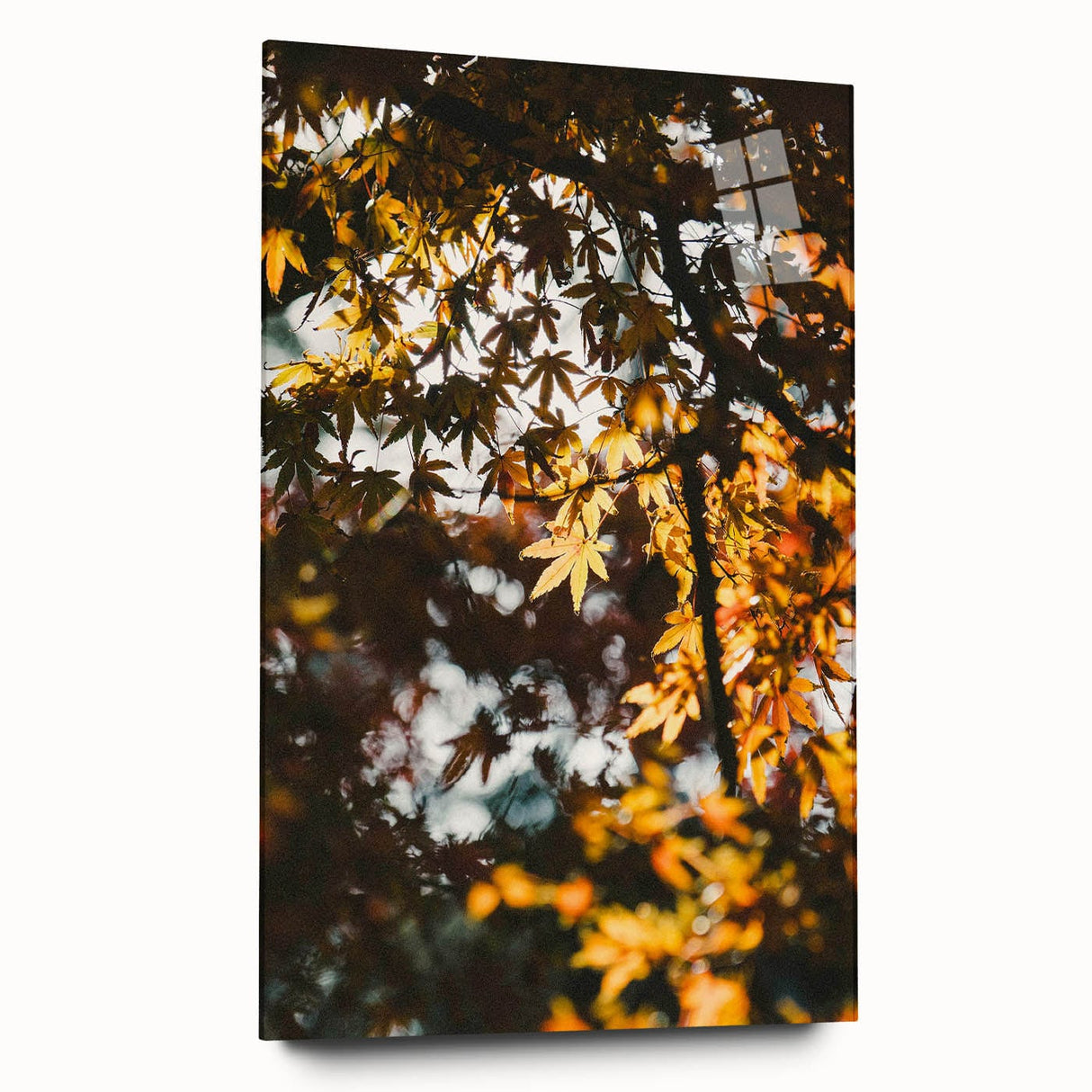 Large abstract wall art in vibrant orange and red tones on acrylic glass, ideal for bedroom or dining room decor.