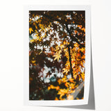 Rolled print of a fall-themed floral art in warm orange and red tones, suitable as art wall dining room decor.