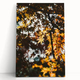 Large black and white abstract canvas depicting swirling patterns, ideal for kitchen wall art or bedroom ambiance.