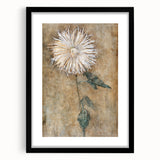 Elegant Chrysanthemum Modern Wall Art - Minimalist Contemporary Art Print