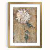 Elegant Chrysanthemum Modern Wall Art - Minimalist Contemporary Art Print