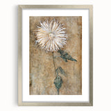 Elegant Chrysanthemum Modern Wall Art - Minimalist Contemporary Art Print