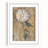 Elegant Chrysanthemum Modern Wall Art - Minimalist Contemporary Art Print