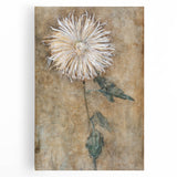 Elegant Chrysanthemum Modern Wall Art - Minimalist Contemporary Art Print