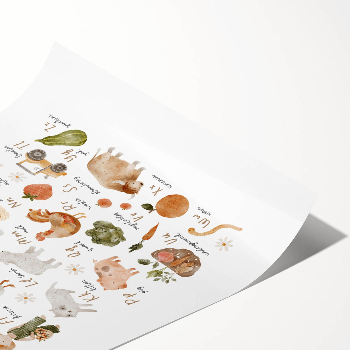 ABC Alphabet Canvas Art - Farm-Themed Alphabet Learning Poster