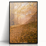 Large abstract wall art depicting autumnal hues on black acrylic frame, ideal for modern living room decor.