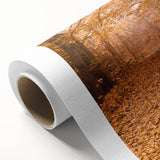 Art Deco poster of autumn trees on rolled canvas, featuring warm orange and brown tones, ideal for nursery wall art.