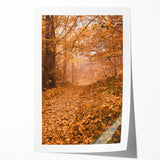 Extra large rolled print featuring autumnal floral motifs in earthy orange and brown tones.