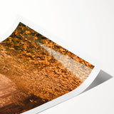 Extra large wall art featuring line art flowers in autumnal colors on a rolled print, suitable for large living room decor.