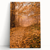 Black and white photo of a tree in autumn on large stretched canvas, ideal for kitchen wall art or bedroom.