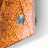 Large abstract wall art in warm autumn hues on acrylic glass, ideal for dining room art with a mid-century modernist style.